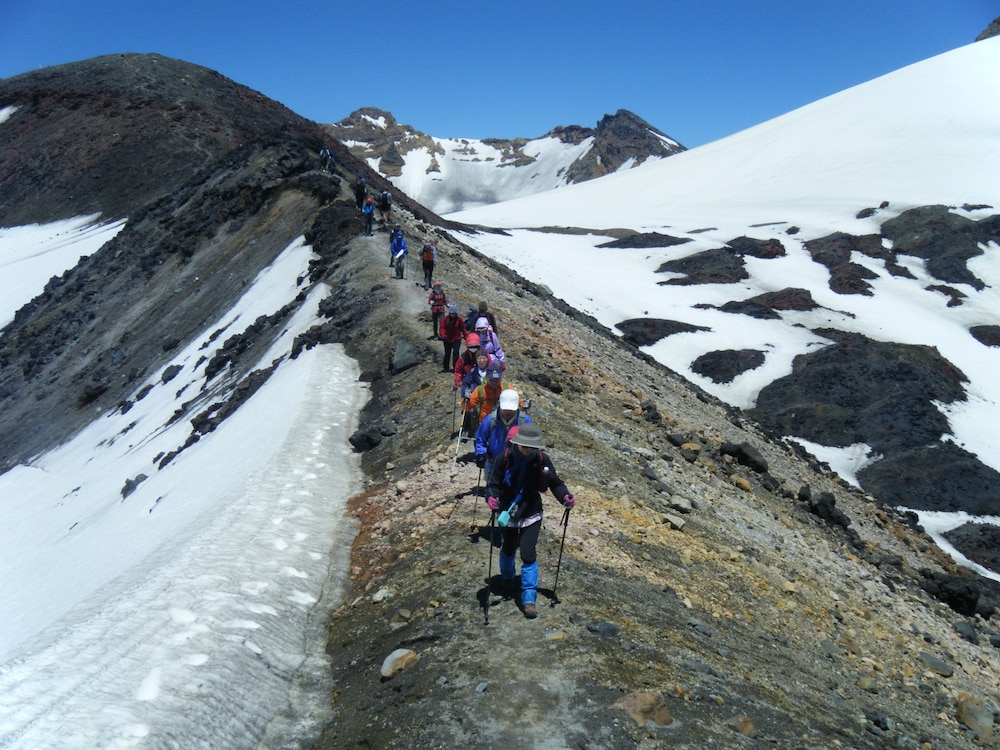 Tongariro Lodge 32/75