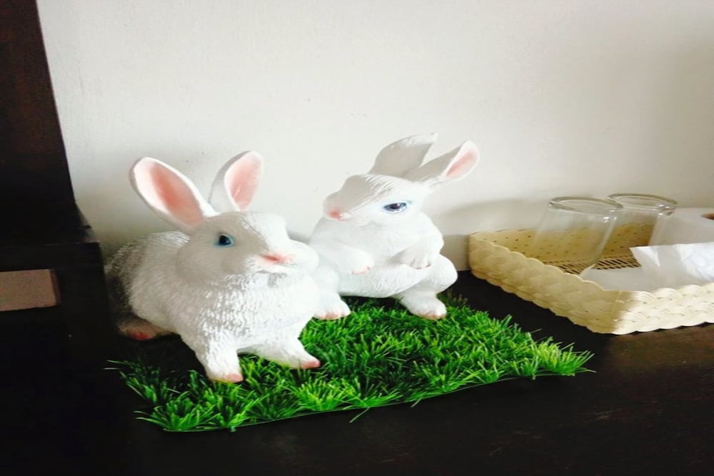 Cozy Rabbit Hotel 23/36