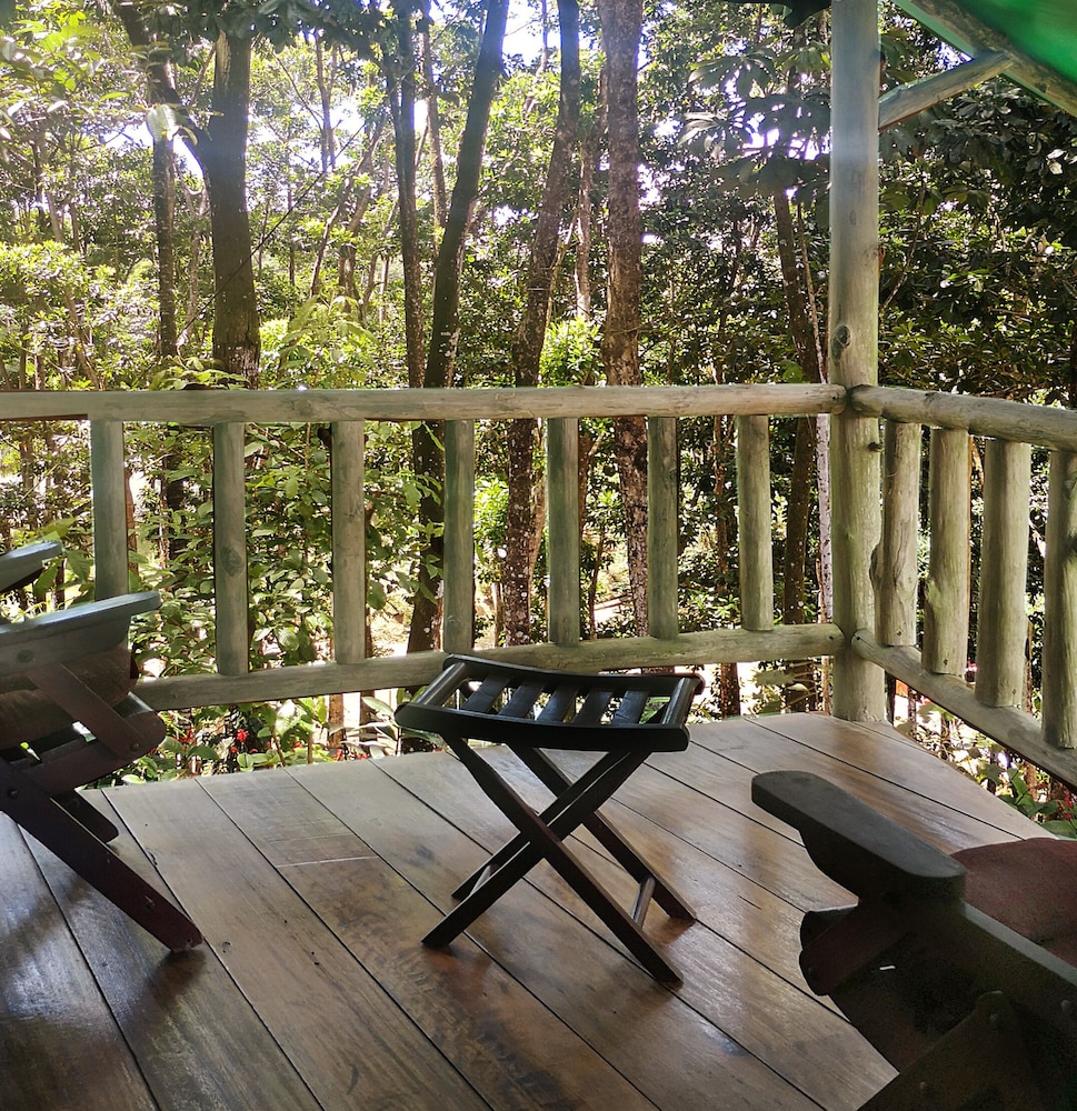 Hotel Del Bosque 20/41