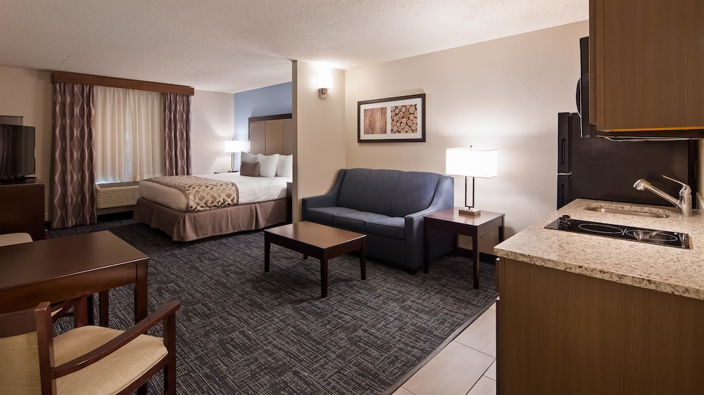 Best Western Plus Flint Airport Inn & Suites 24/38
