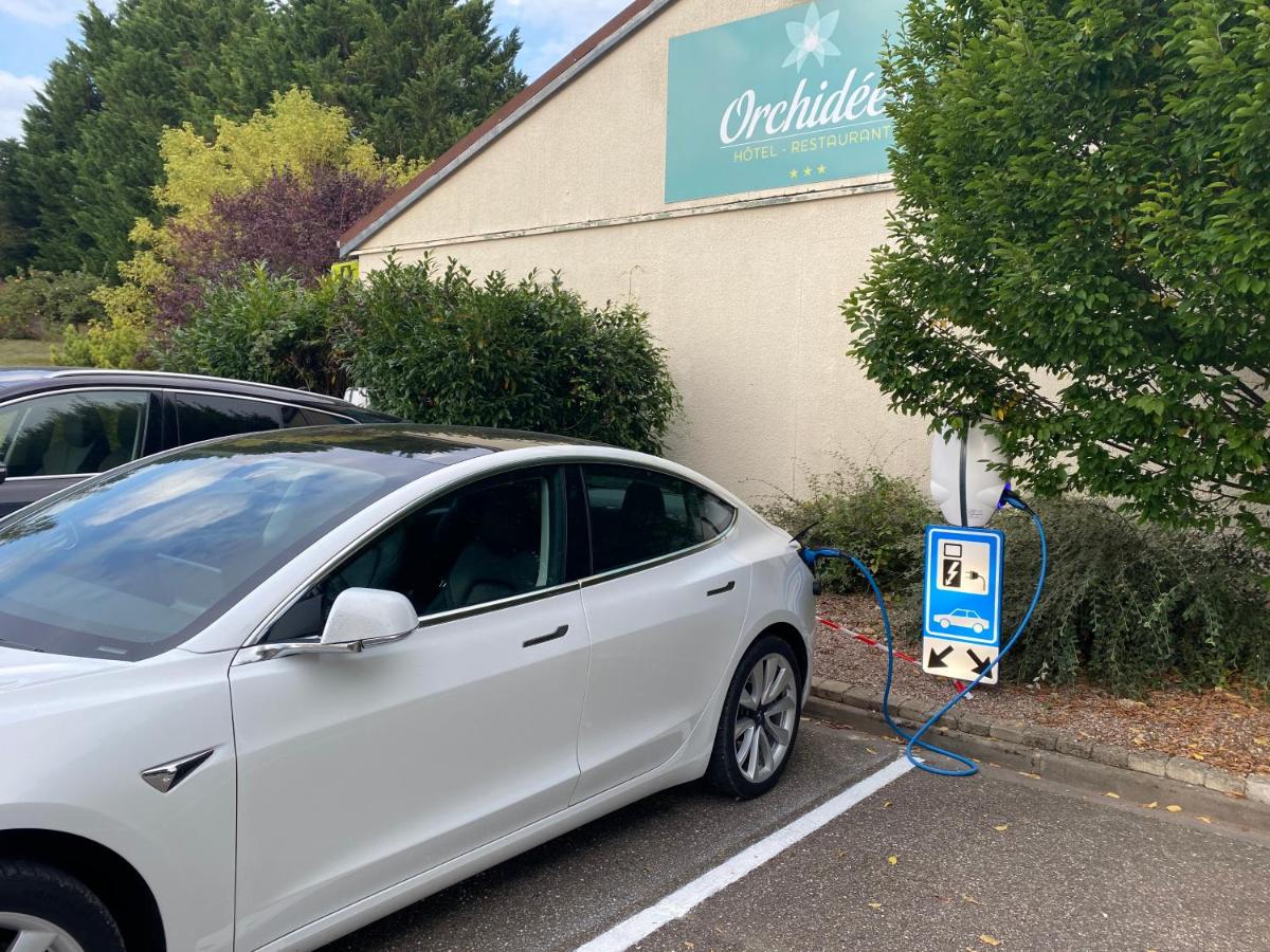 LES ORCHIDEES 16/19