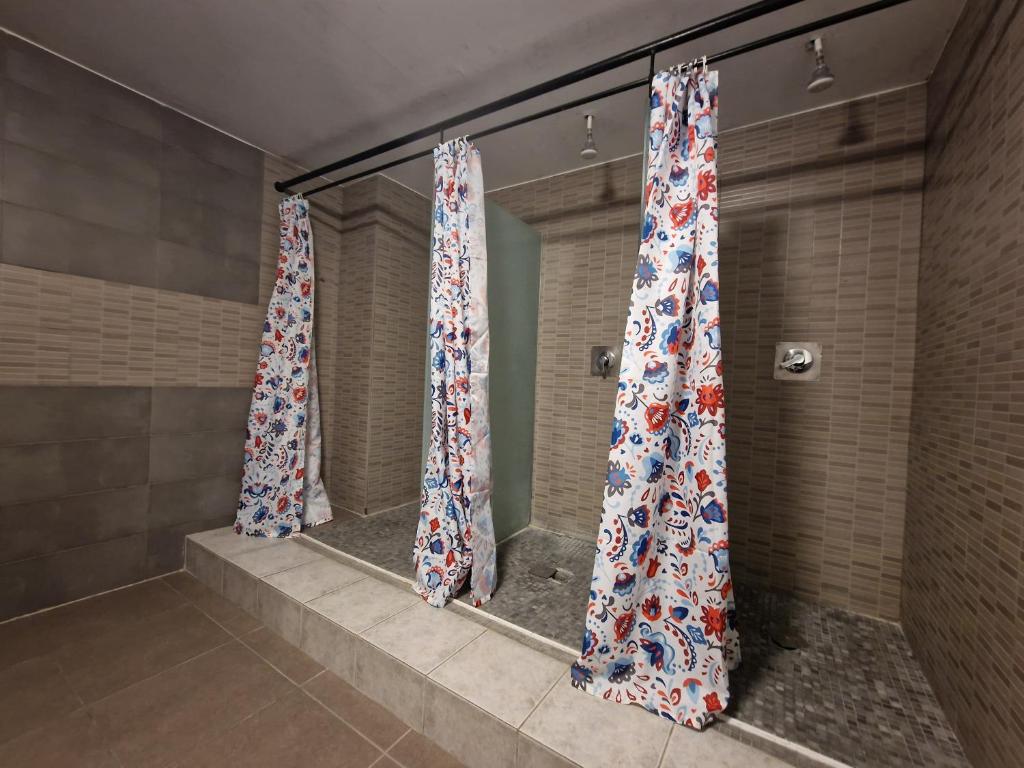 Arc House Hostel 11/18