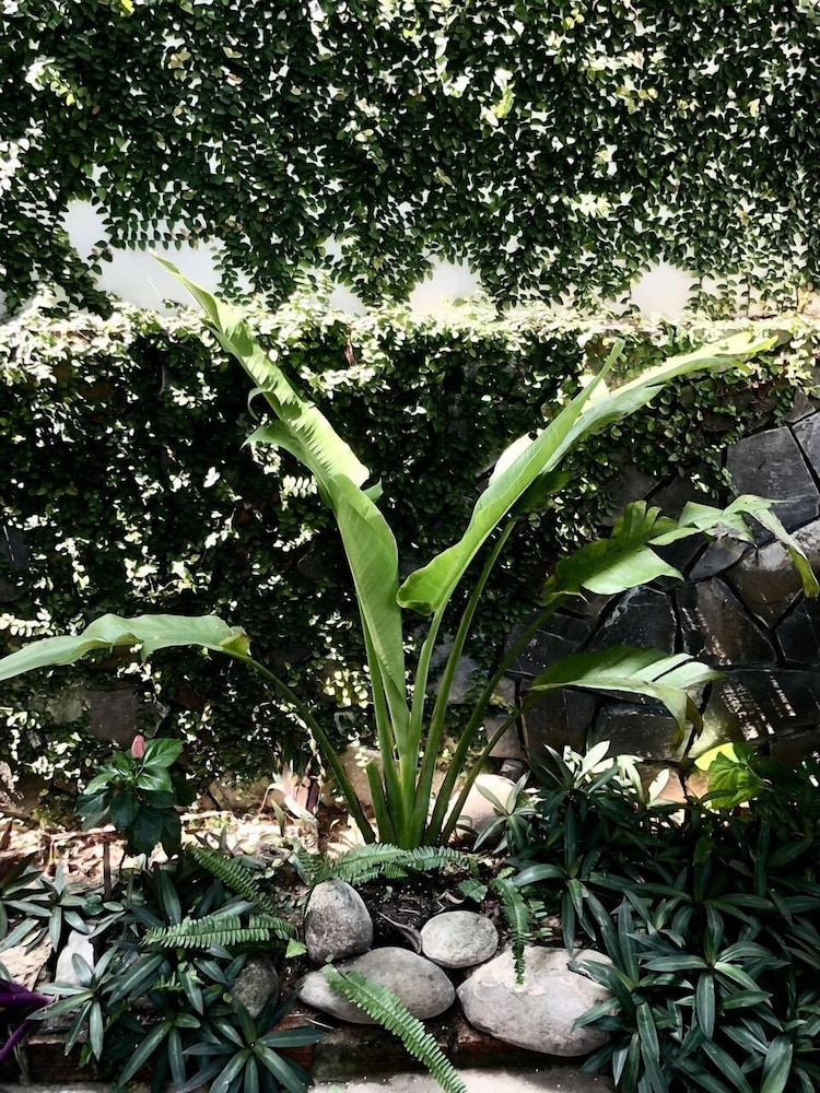Sunny Garden Homestay 15/23