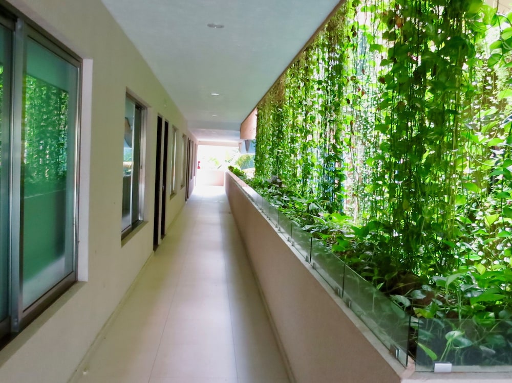 Hotel Palmarena by Nah Hotels 59/64