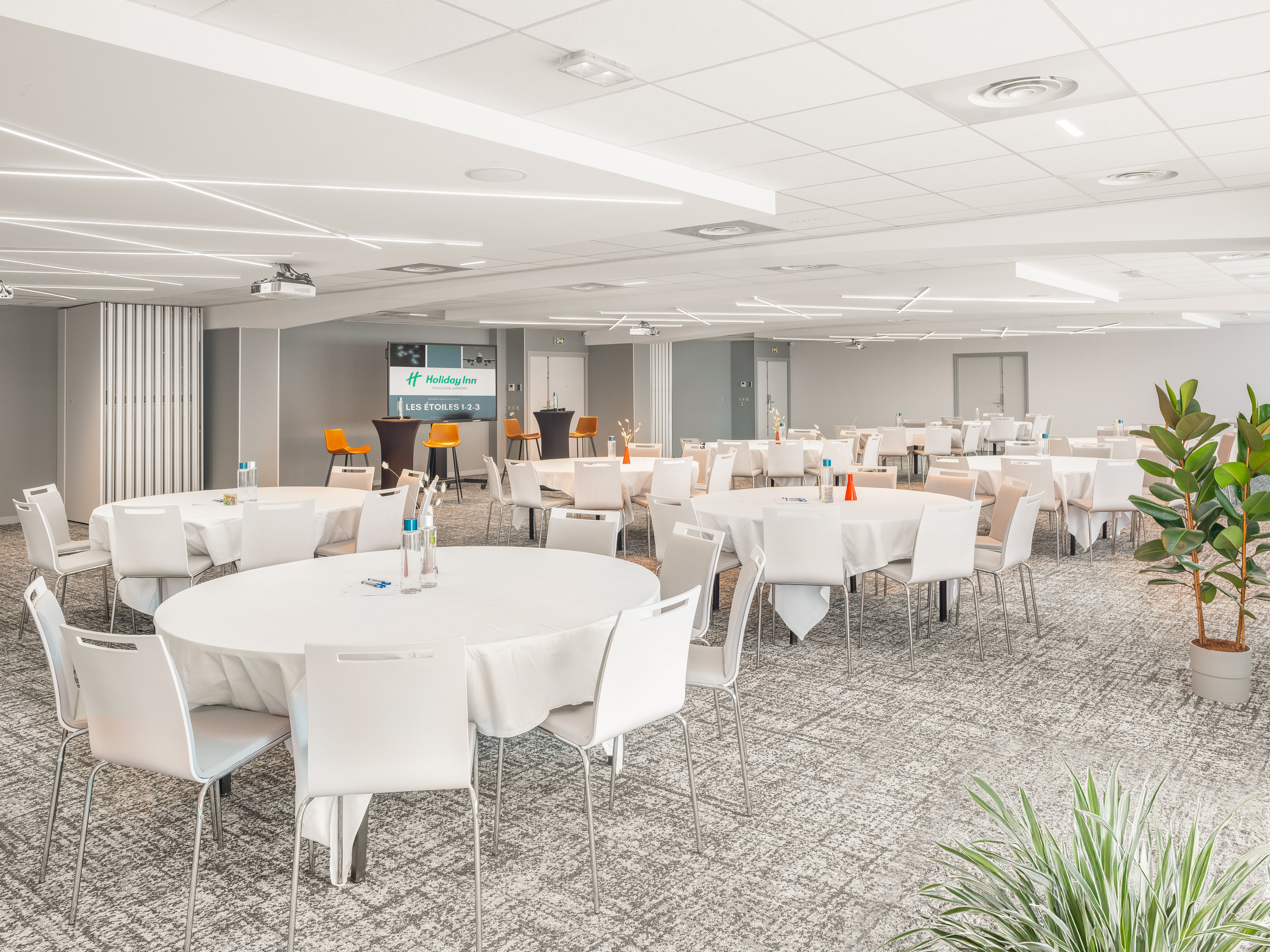Holiday Inn Toulouse Airport 63/67