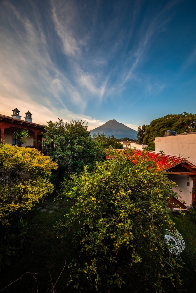 Naif Boutique Hotel & Gallery 60/68