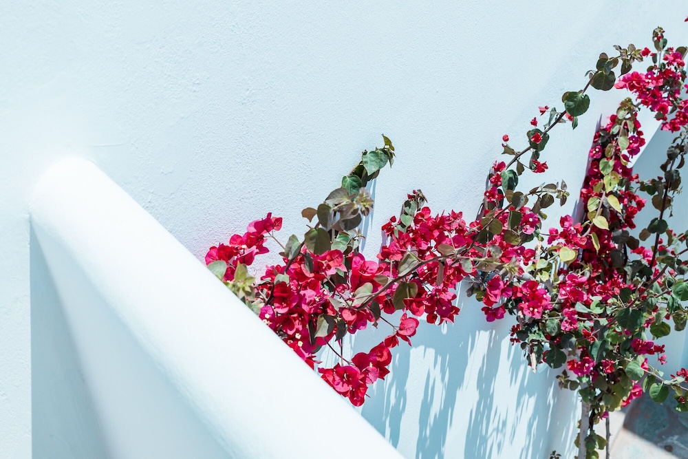 Bohemian Luxury Boutique Hotel - Adults Only 42/50