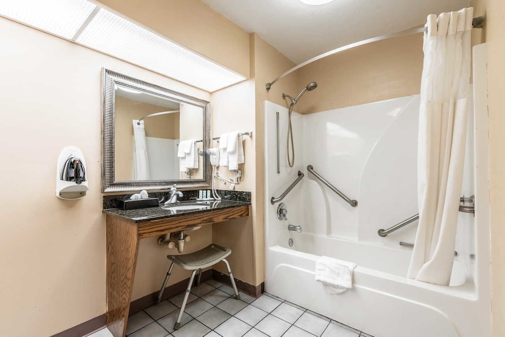 Quality Inn Decatur River City 18/39