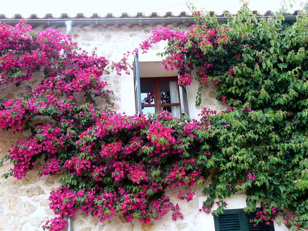 Hotel Rural S'Olivaret 29/76