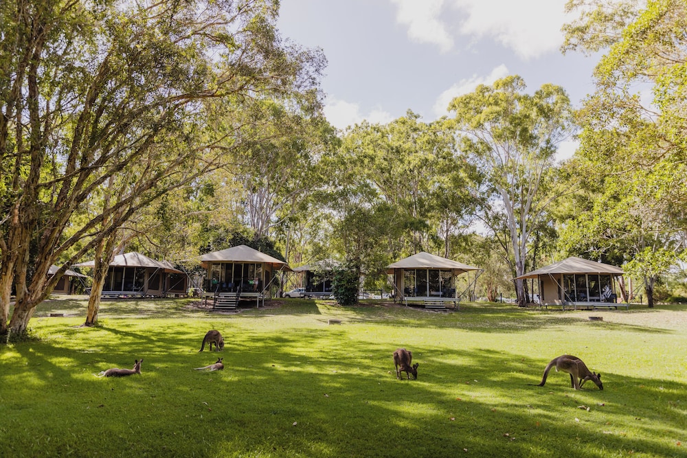 Habitat Noosa Everglades Ecocamp 52/65