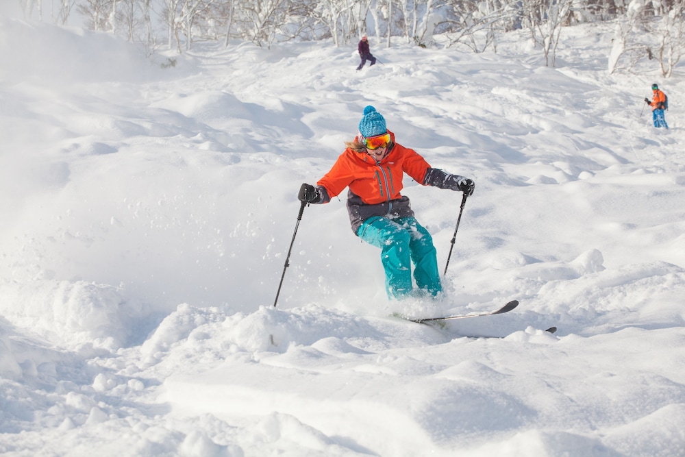 Loft Niseko 16/41