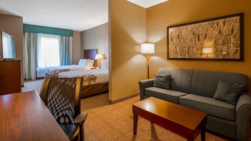 Best Western Dothan Inn & Suites 22/26