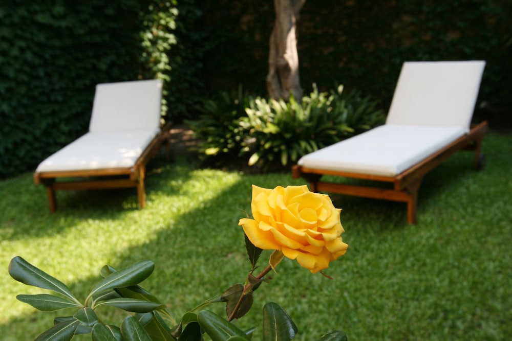 248 Finisterra Hotel Boutique Argentino 70/73