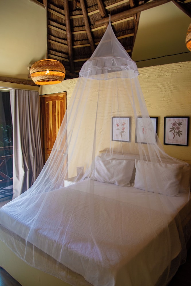Hotel Palmarito Beach & Spa 11/50