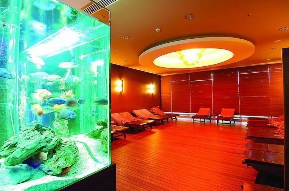 Alaiye Resort & Spa Hotel 16/50