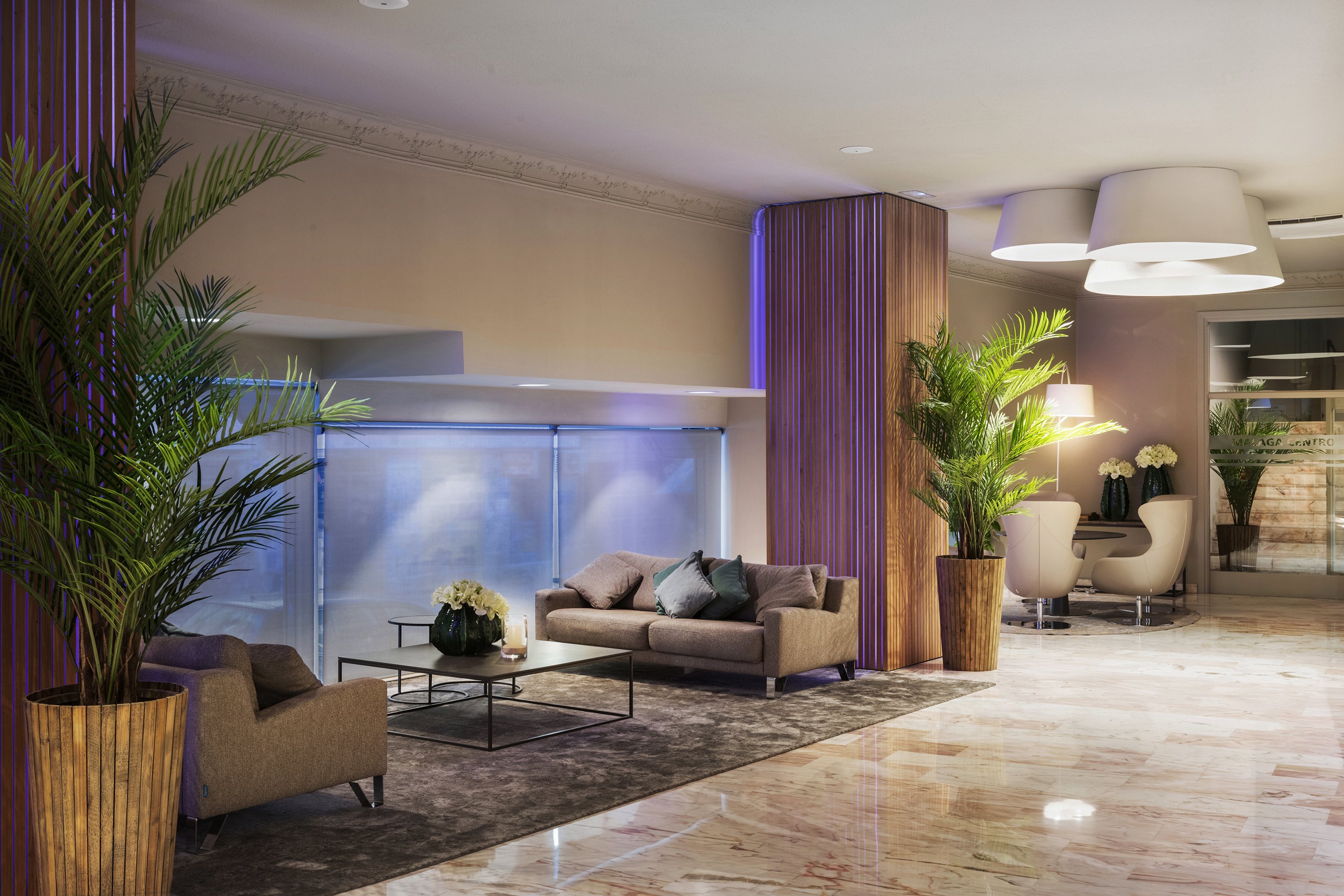 Salles Hotel Malaga Centro 18/45