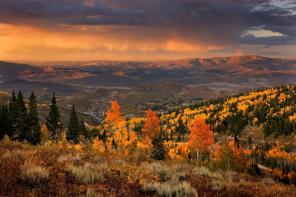 Montage Deer Valley 56/59