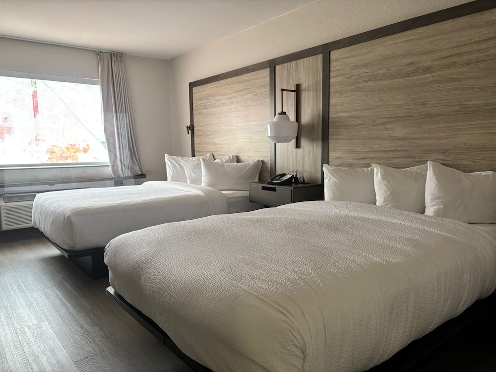 room, 2 queen beds