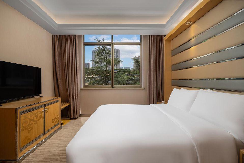 Suite, King Bed, Sofa