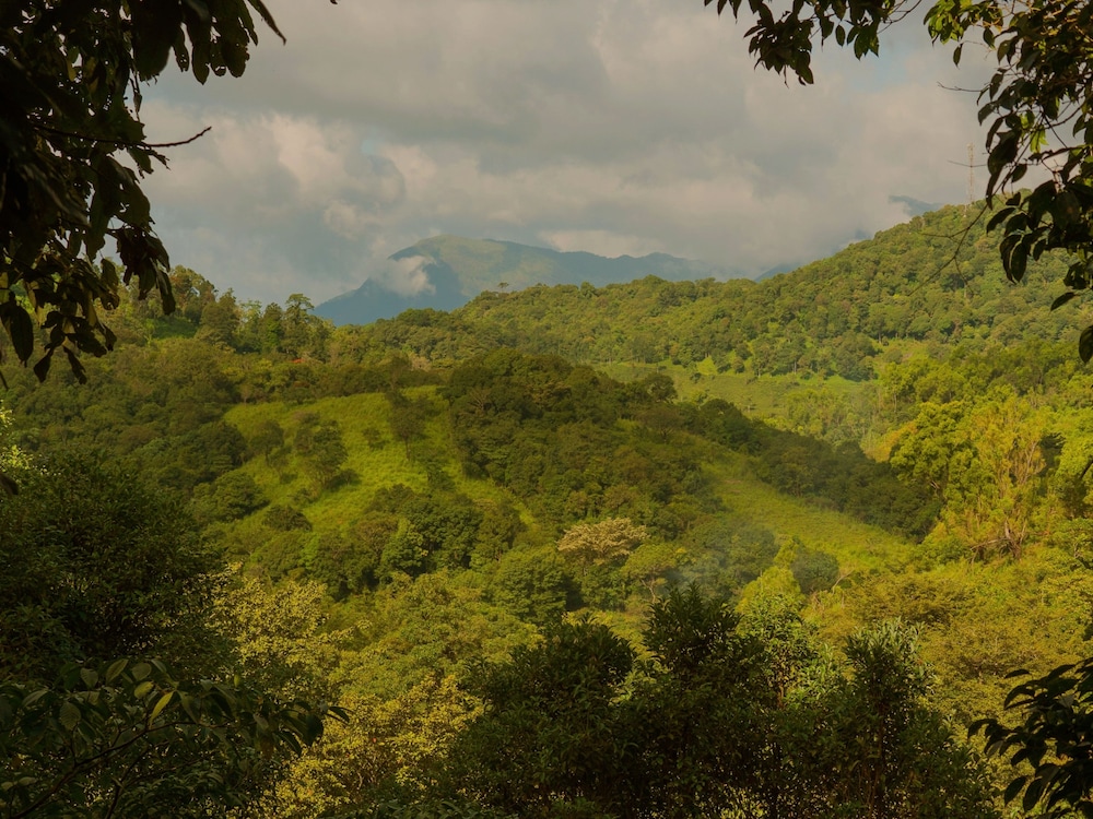Wayanad Wild - Cgh Earth 29/48