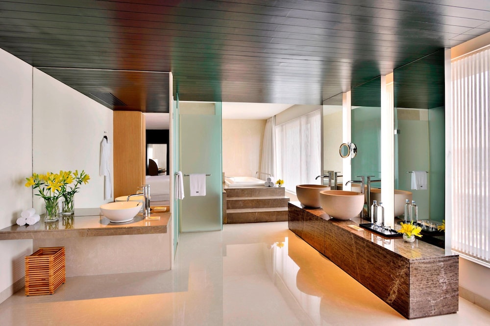 The Westin Hyderabad Mindspace 10/80