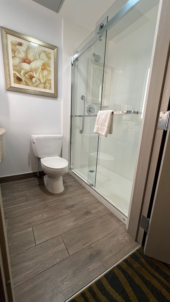 غرفة بسرير كينج مع أريكة، Hilton Garden Inn Lake Buena Vista 6/6