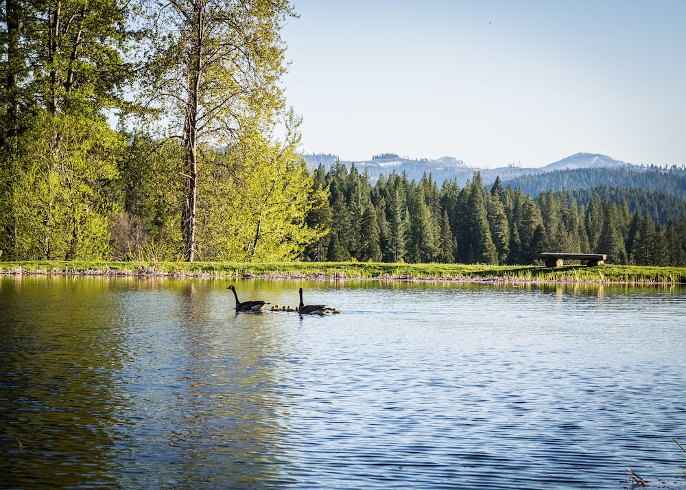 Greenhorn Ranch 16/23