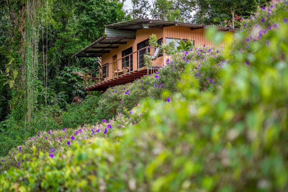 Nepenthe B&B 37/50