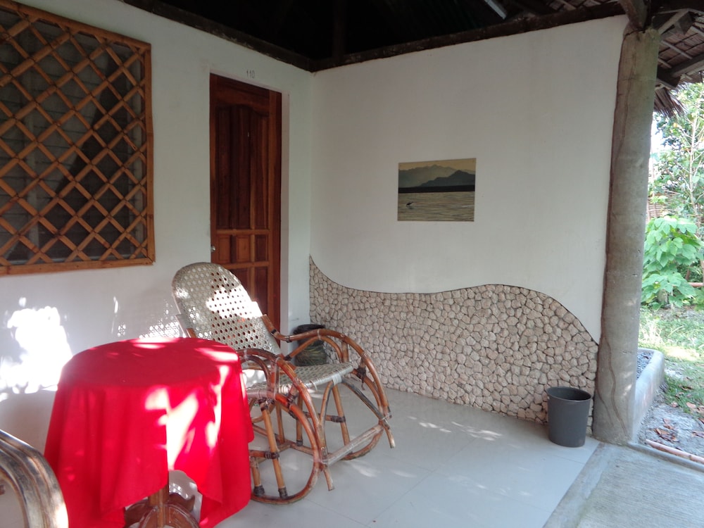 Sea Turtle House 11/50