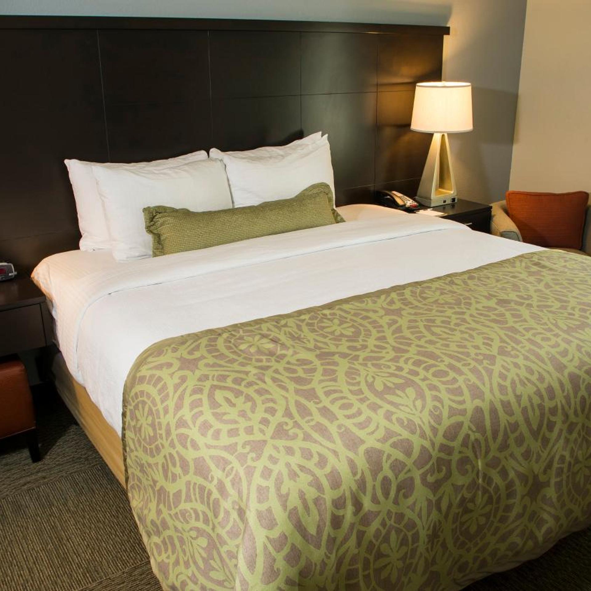 1 Bedroom, Suite, Accessible