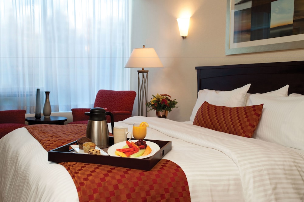 Fantasyland Hotel 20/84