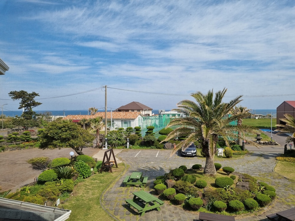 Jeju Again Olle Pension 31/34