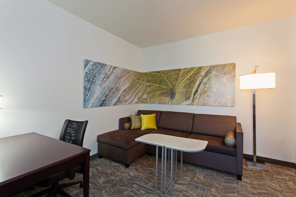 SpringHill Suites by Marriott El Paso 32/43