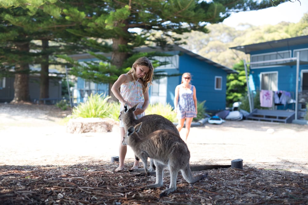 NRMA Murramarang Beachfront Holiday Resort 43/52