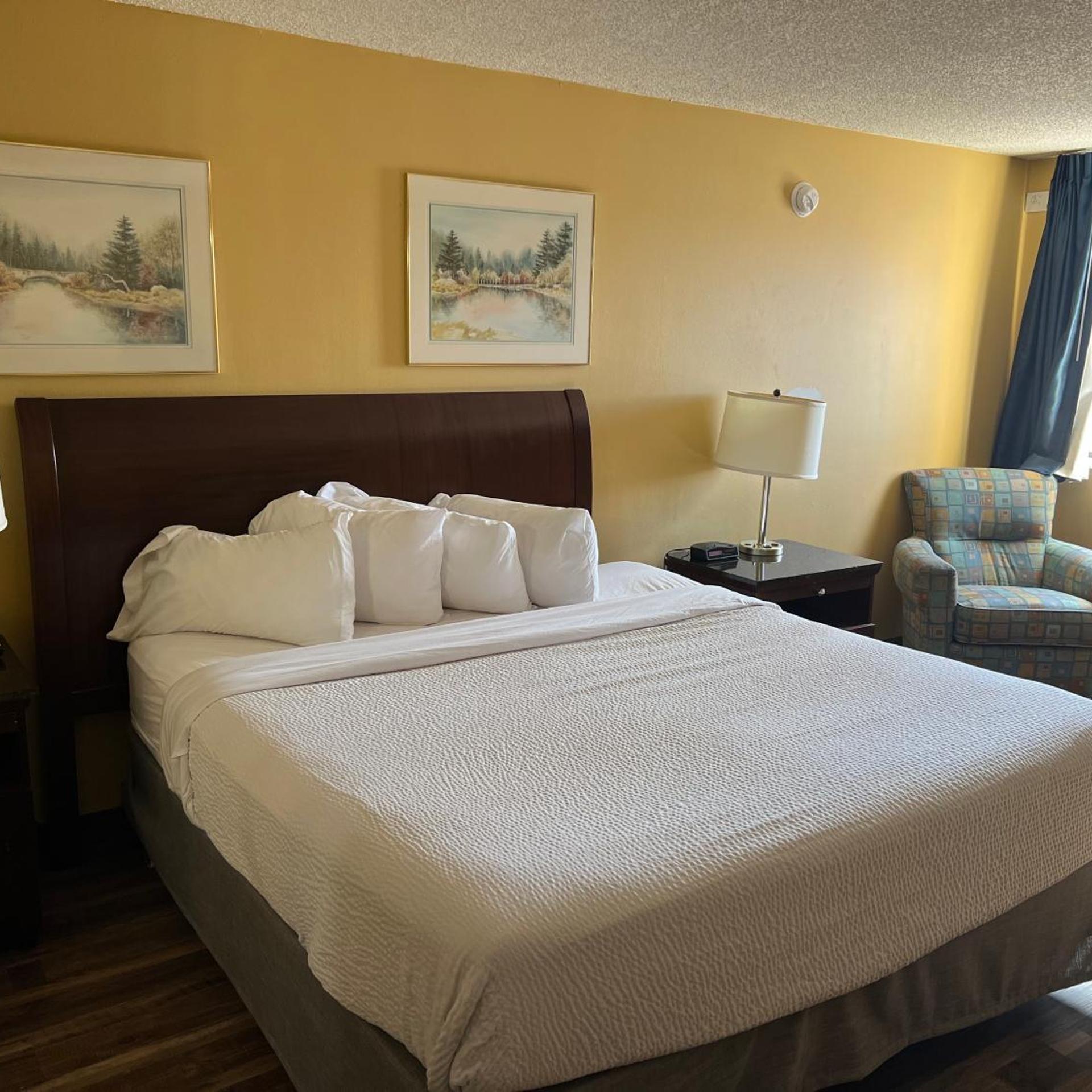 Efficiency, King Bed