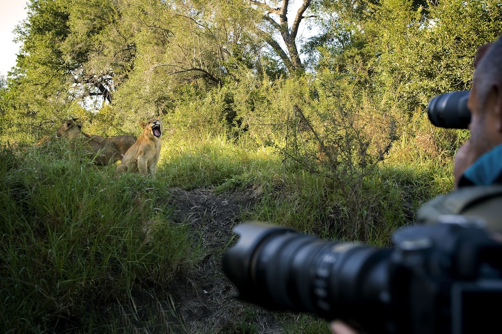 Lion Sands Kruger National Park 39/50