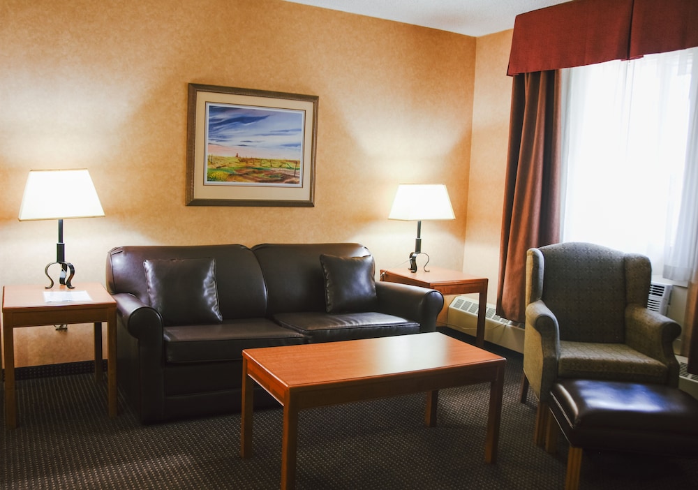 Stony Plain Inn & Suites 29/44