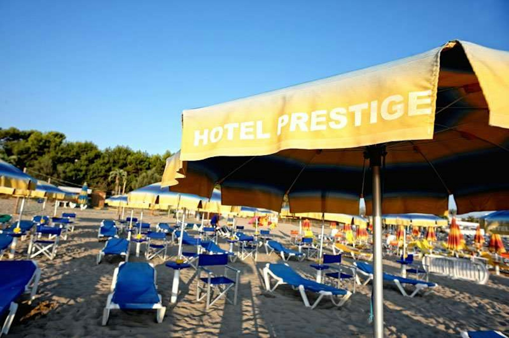 Prestige 65/70