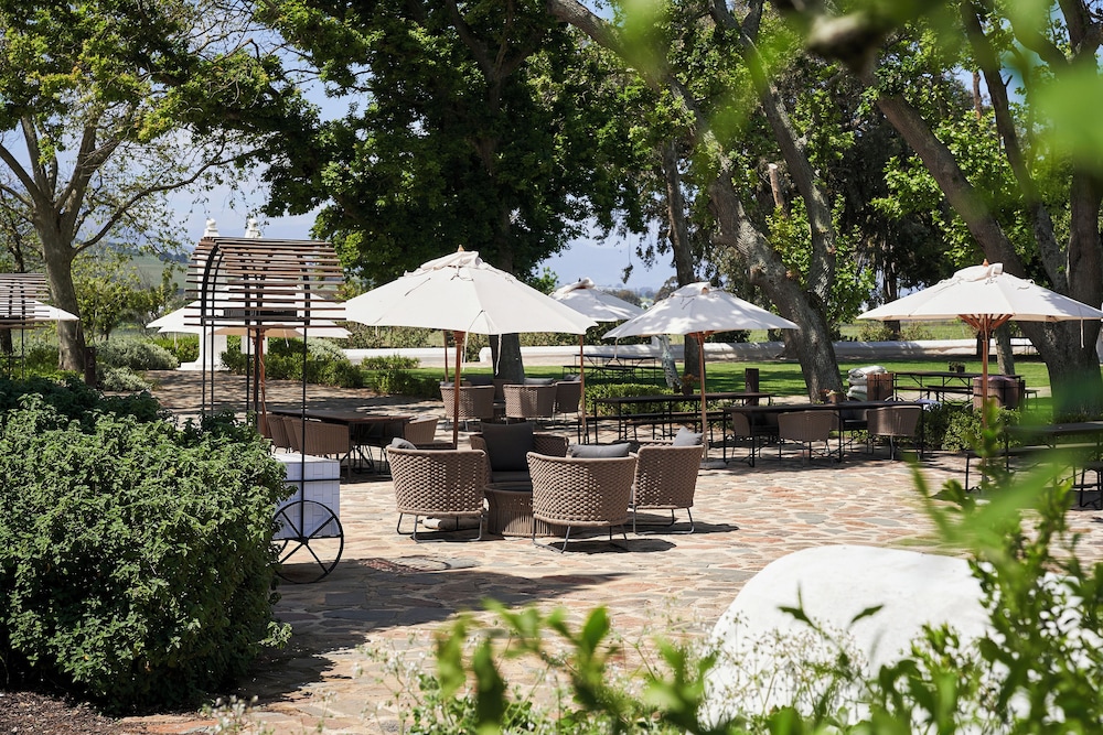 Vergenoegd Low Boutique Hotel & Spa 43/50