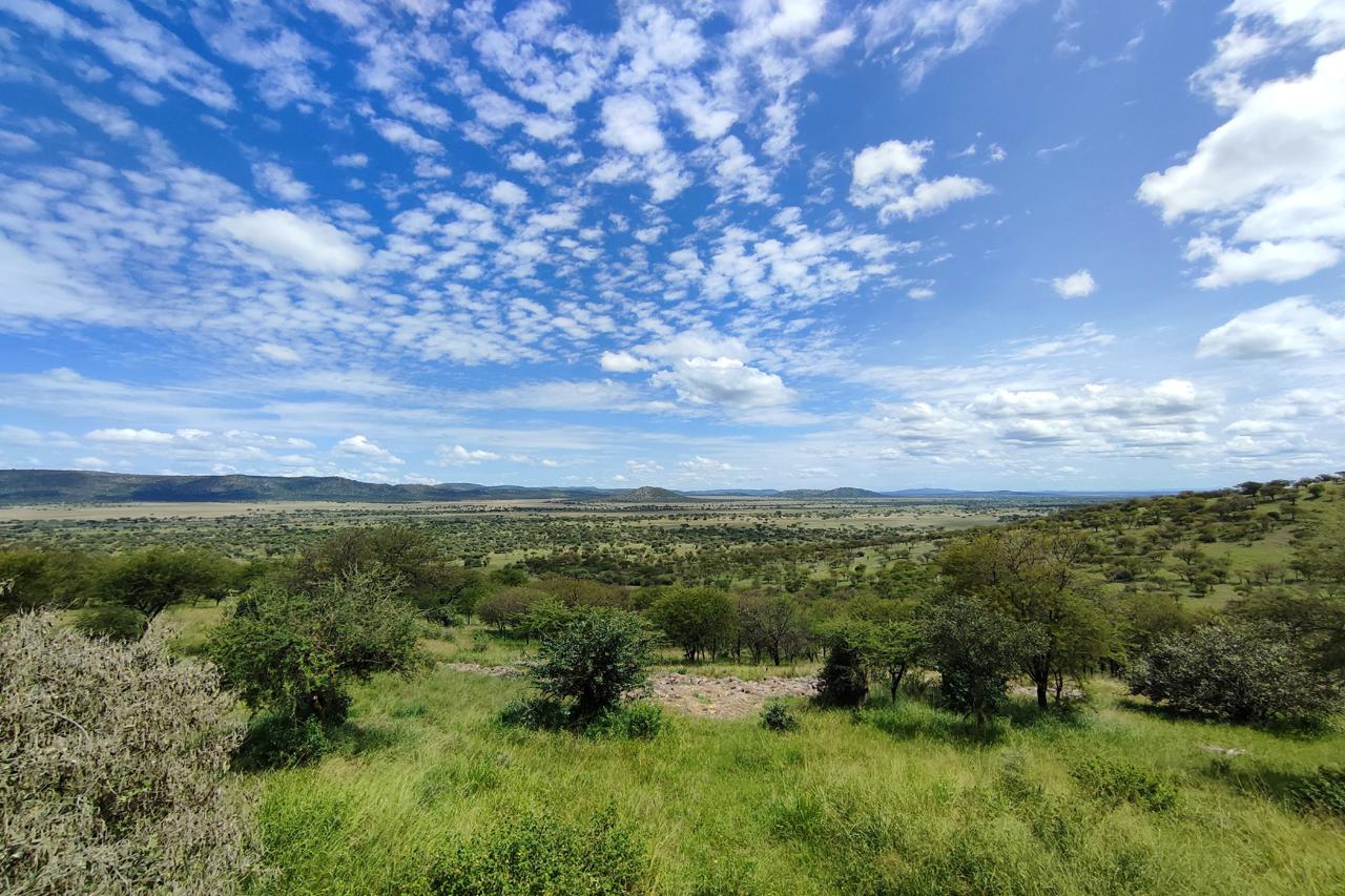 Serengeti Serena Safari Lodge 40/58