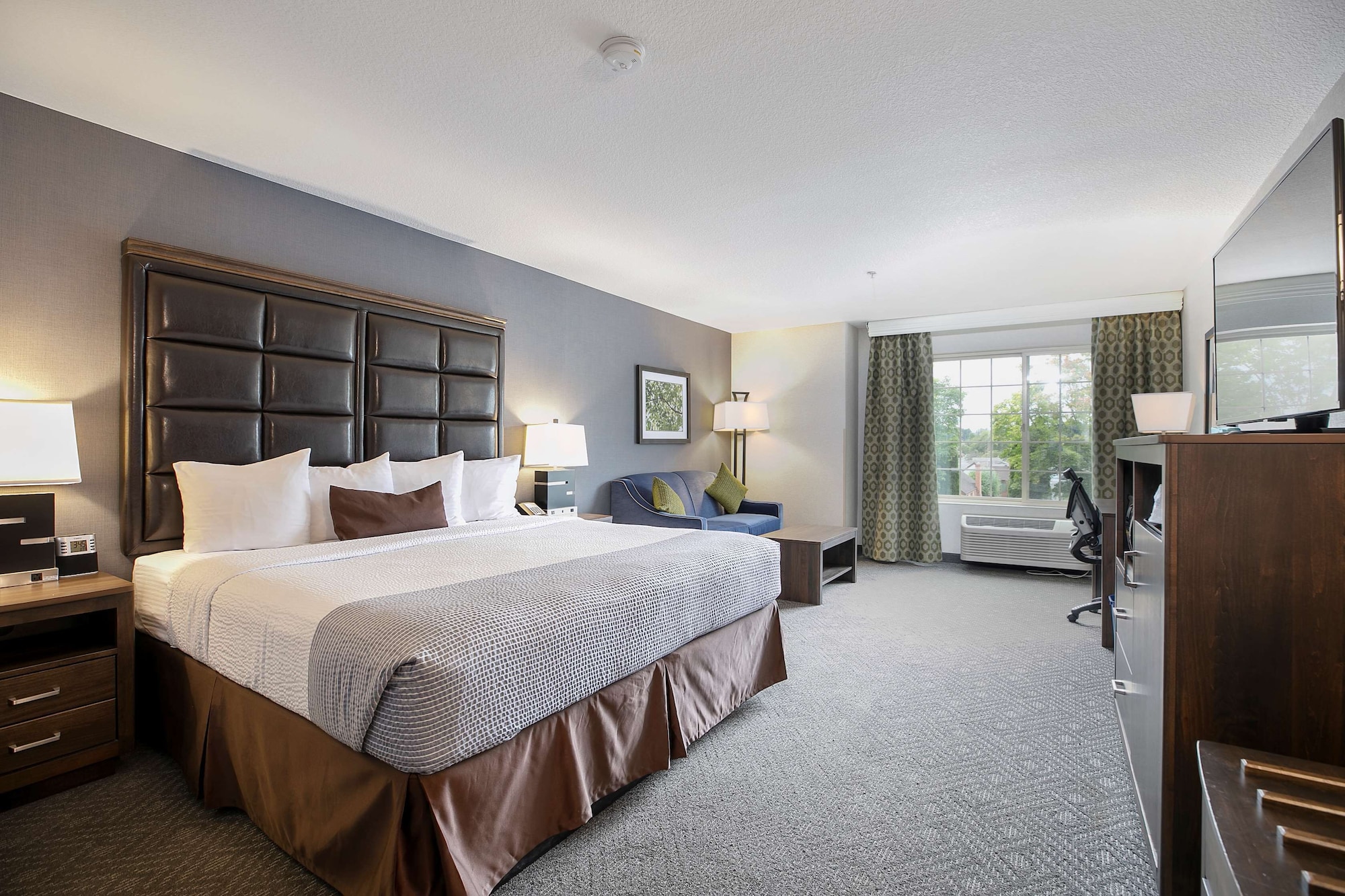 Standard, King Bed, Accessible