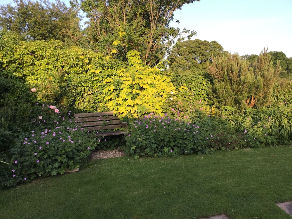 Steps Farmhouse - Guest house 44/49