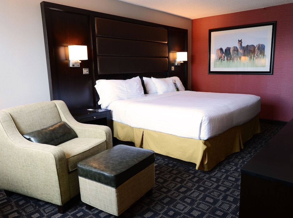 Holiday Inn Louisville East - Hurstbourne 19/78