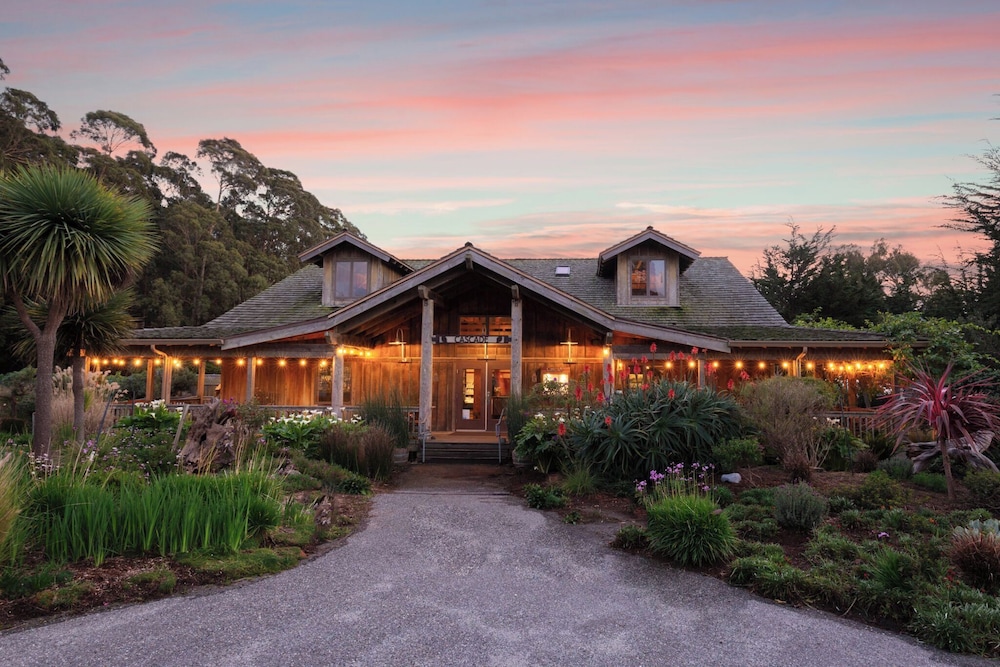 Costanoa 2/50