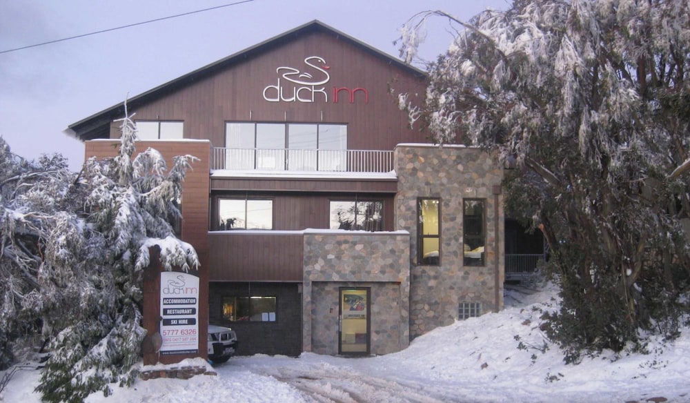 DUCK INN MT BULLER 写真1