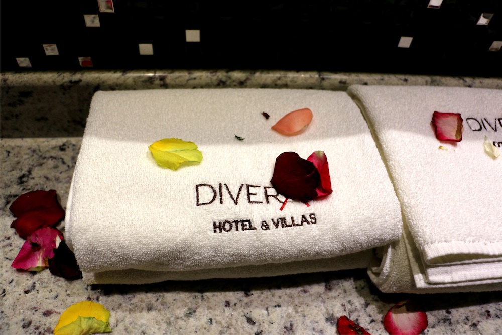 Diverxo Hotel Villas 23/51