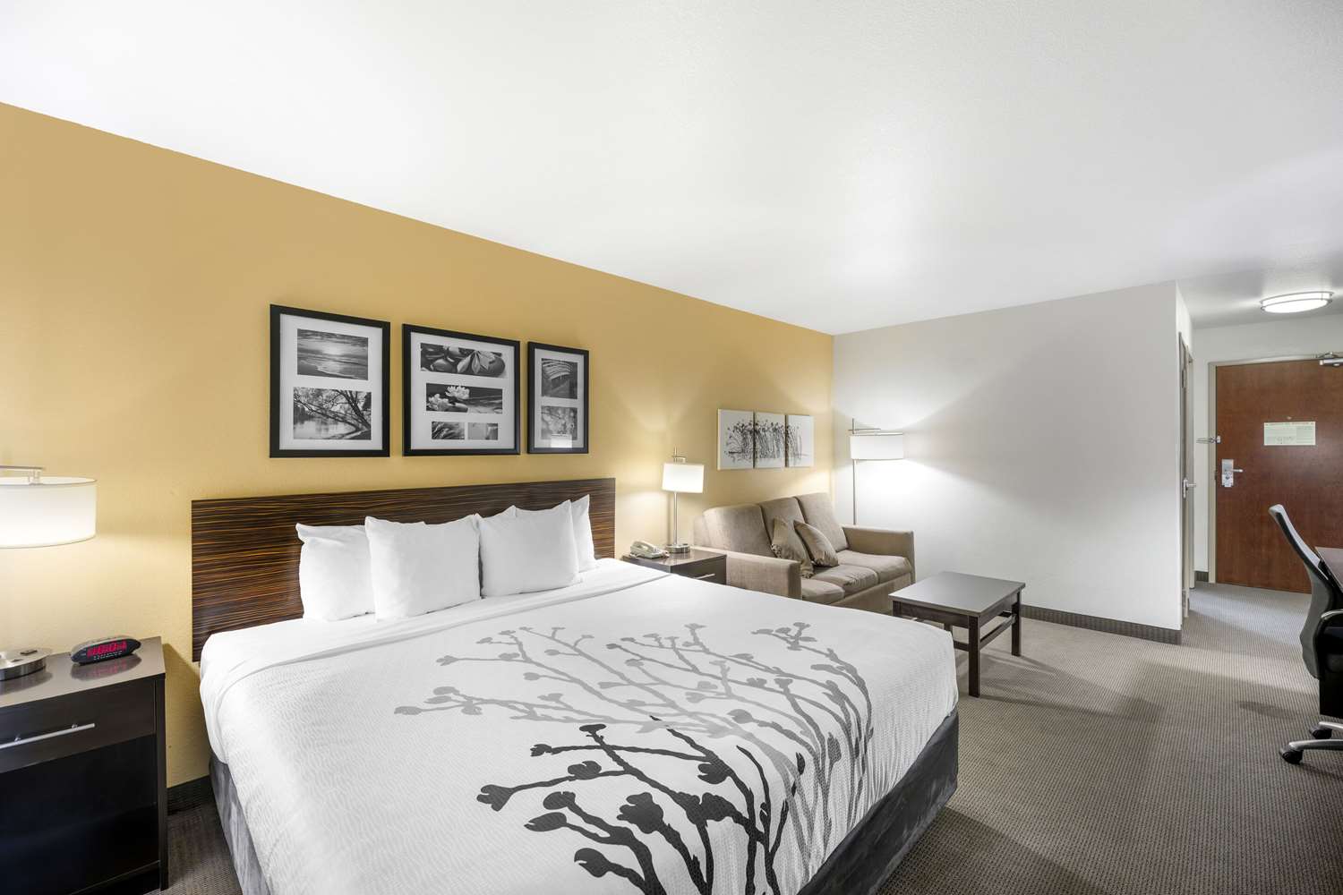 Suite, King Bed