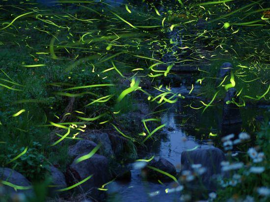 Hito No Yado Takimien 22/24