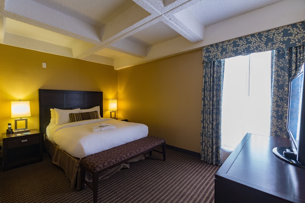 Wyndham Edmonton Hotel and Conference Centre 12/57