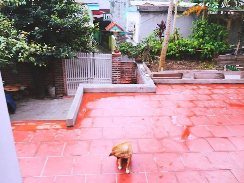 D'home Homestay Cat Ba 15/23